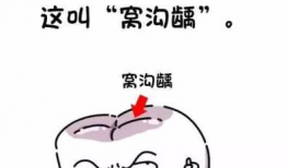 吃瓜抠牙的笑话,揭秘那些让人捧腹大笑的冷笑话