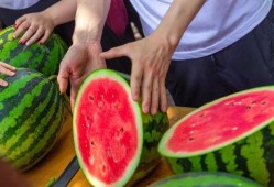 贵州大学天台吃瓜,一场别开生面的“吃瓜”盛宴