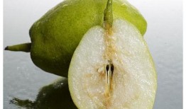 羊绒检测吃瓜,揭秘羊绒品质背后的秘密