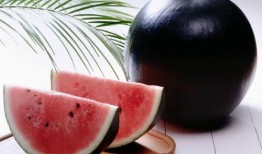 黑高瓜怎么吃,探索美味与营养的完美结合