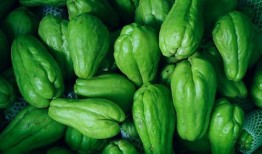 长江以南吃瓜,探寻江南地区的特色瓜果文化