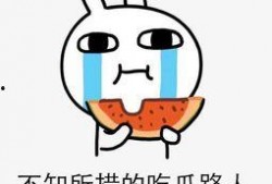 豆瓣吃瓜日常,揭秘网络舆论场的众生相