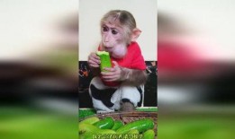 孙悟空吃瓜搞笑,笑翻三界！