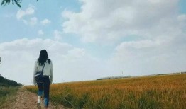 女孩麦田吃瓜拍照,女孩的夏日田园美食瞬间