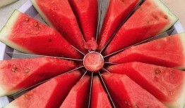 吃瓜到处跑,跟随热点，畅游信息海洋