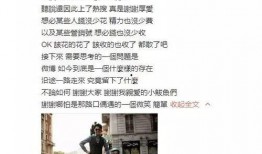 吃瓜群众描写句子,吃瓜群众视角下的娱乐圈风云