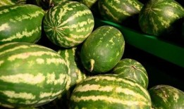 太仓最新吃瓜事件,揭秘网络热议背后的真相