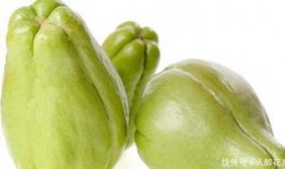 常吃佛手瓜游戏,健康生活新体验