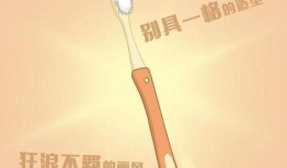 吃瓜用牙刷,牙刷的奇妙之旅