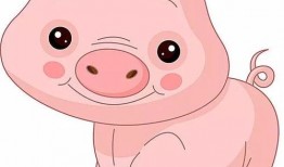 猪吃瓜成语,揭示成语背后的趣味与智慧