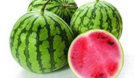 吃不吃瓜黄瓜还是西瓜,吃瓜还是西瓜，揭秘黄瓜与西瓜的饮食奥秘