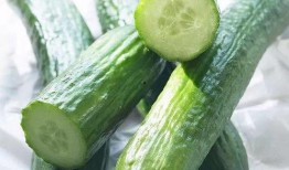 期可以吃刺瓜,春季刺瓜的养生食谱