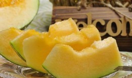 哈密瓜干果怎么吃,解锁美味新体验