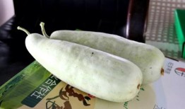 地洋瓜怎样吃,探索美味与营养的完美结合