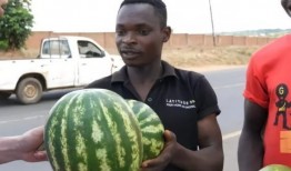 吃瓜黑人,一场关于网络舆论的深度探讨