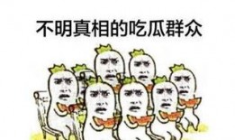 粗鲁吃瓜群众,揭秘网络暴力的背后
