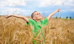 女孩麦田吃瓜拍照,女孩的夏日田园美食瞬间
