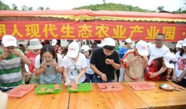 吃瓜比赛冠军是谁