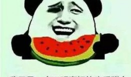 合格的吃瓜观众,合格吃瓜观众的独家视角