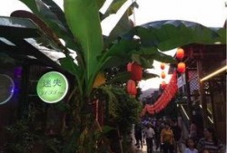 吃老街瓜,品味瓜香四溢的市井生活