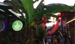 吃老街瓜,品味瓜香四溢的市井生活