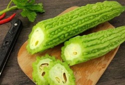 每天疯逛吃瓜,跟随潮流，畅享生活趣味