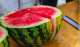 贵州大学天台吃瓜,一场别开生面的“吃瓜”盛宴