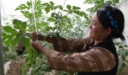 吃瓜姐妹小树杈,揭秘娱乐圈背后的故事