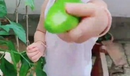 女孩吃瓜像猪,女孩吃瓜像猪，萌态十足引网友热议