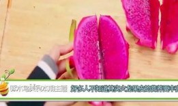 吃瓜嘴流血,揭秘娱乐圈背后的残酷真相