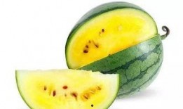 怎样吃瓜最合适,吃瓜技巧大揭秘