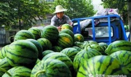 吃瓜怎么卖,揭秘如何让瓜果成为热销品