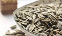 走进瓜园吃瓜子