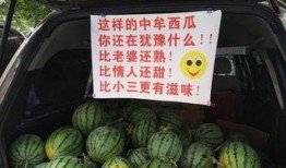 吃瓜怎么卖,揭秘如何让瓜果成为热销品